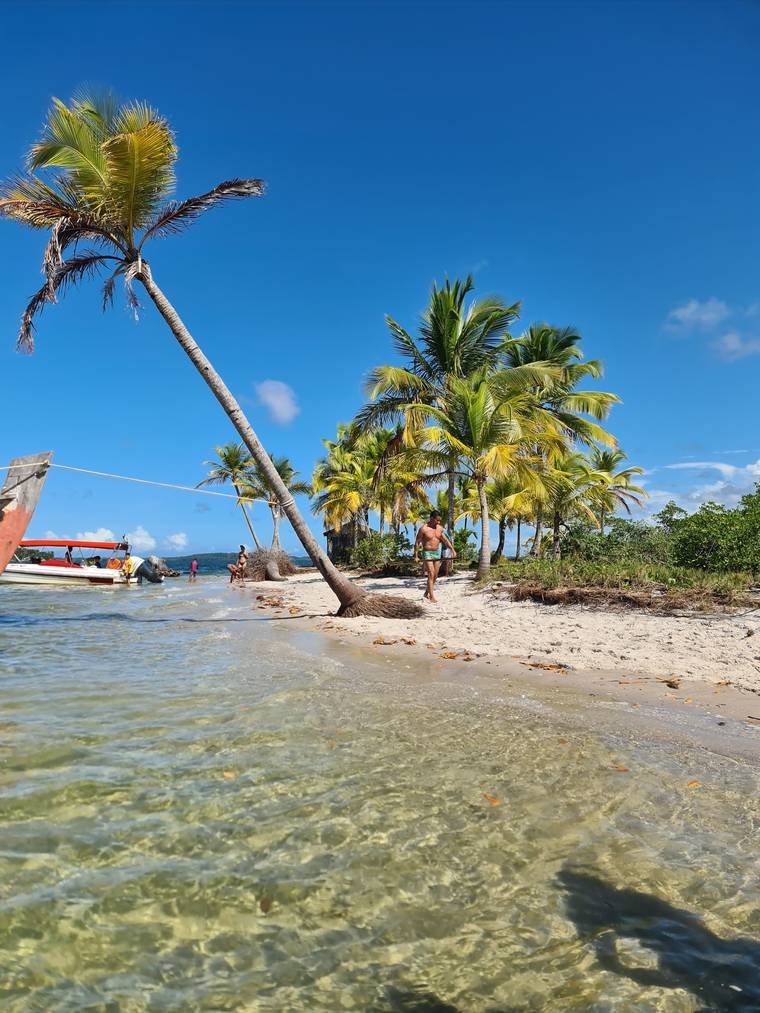 Praia de ilha na Baía de Camamu com coqueiro inclinado