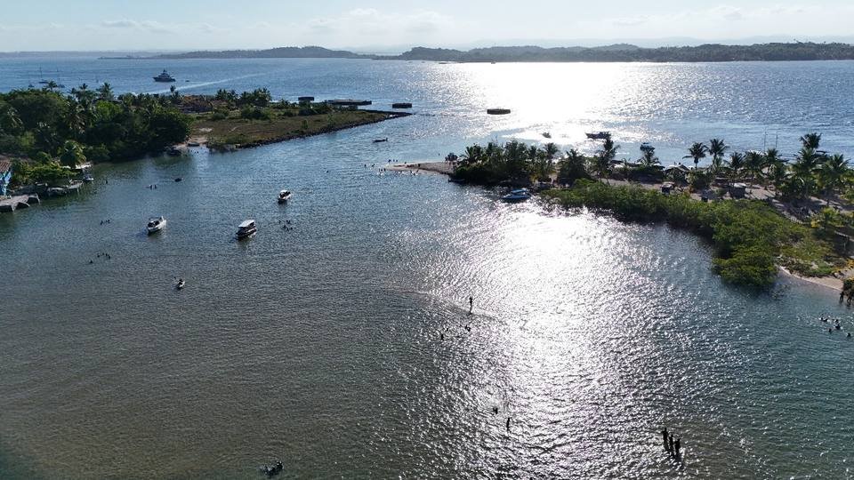 Vista aérea de praia com coqueiral na Península de Maraú